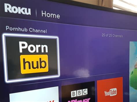 How to Watch Porn on Roku In 2024